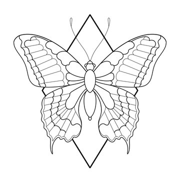 butterfly silhouette over triangle