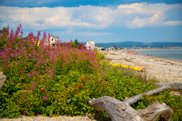 Naklejka premium Beautiful view of Coin-du-Banc beach, Gaspésie, Quebec, Canada.