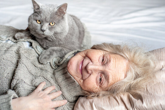 Happy Smiling Elderly Woman Lies On A Bed With A British Cat. Pets Save From Loneliness. Christmas Quarantine Covid19. Coronavirus Epidemic. Insulation At Home. Lockdown. Strengthening Quarantine