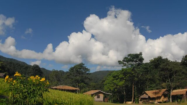 
Blue sky and clouds Blue sky background with tiny clouds blue sky and clouds wallpaper Blue sky and nature clouds.