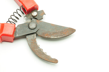 Scissors for pruning tree branches and bushes on a white background