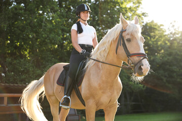 Obraz premium Young woman in equestrian suit riding horse outdoors on sunny day. Beautiful pet