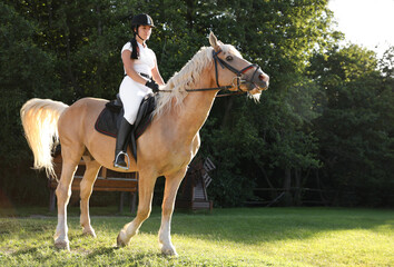 Young woman in equestrian suit riding horse outdoors on sunny day. Beautiful pet