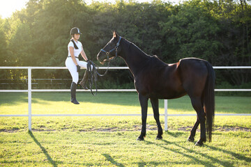 Young woman in horse riding suit and her beautiful pet outdoors on sunny day