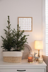 Beautiful room interior decorated for Christmas with potted firs