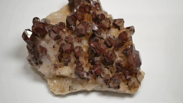 Close-up view of a red phantom cluster.