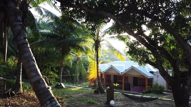 A collection of guest houses in the jungle on a well maintained farm with coconut trees and the setting sun shining in the background.