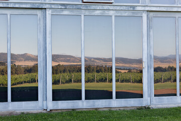 Glass windows and doors on the exterior of a building reflecting the view of a vineyard