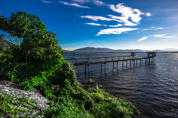 Obraz premium Close-up natural background of the morning scenery with the sun's rays hitting the water surface, the grassy trees on the edge of the reservoir, and the blurred wind, cool during the trip.
