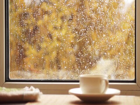 Autumn Mood, Rain Outside The Window