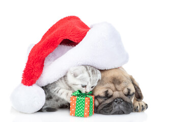 Sleeping Pug puppy and tabby kitten lying with gift box under big santa hat . isolated on white background