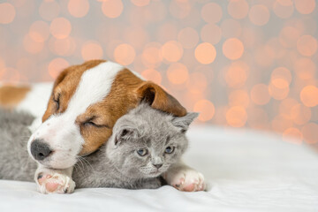 Fototapeta na wymiar Jack russell terrier hugs kitten. Pets sleep together on festive background. Empty space for text