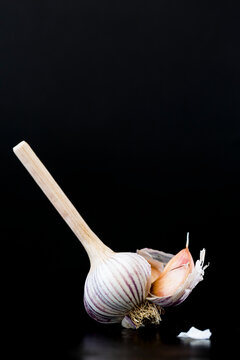 Garlic Bulb