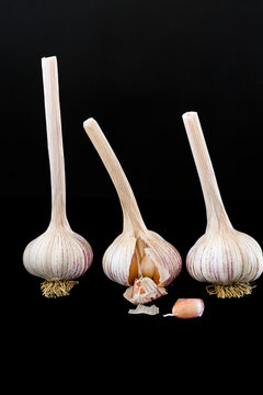 3 Garlic Bulbs