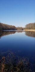 reflection in the lake