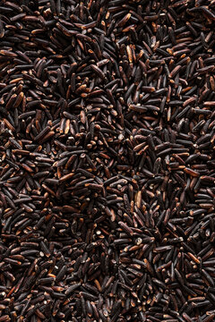 Closeup of raw black rice grains