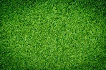 Obraz premium Green artificial grass natural