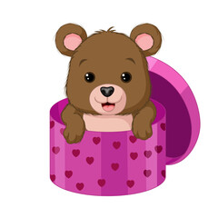 Cute baby bear inside a gift box