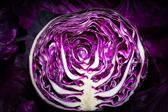 Half a red cabbage showing the inside textured layers of leaves.