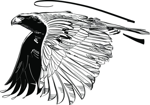 recommend clip art: eagle with wings