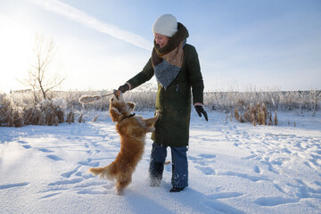 A young woman plays with english cocker spaniel in wintertime, hunting dog and snow.