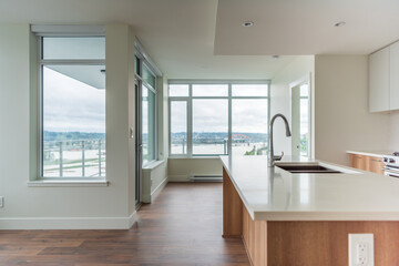 Modern, bright, clean empty kitchen interior with stainless steel appliances in a luxury house.