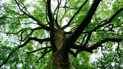 El poder de la naturaleza