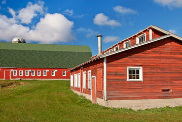 532-14 Red Barns, Door County