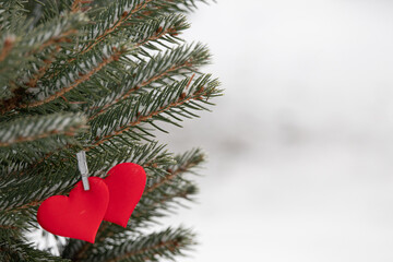 Decorative heart shape ornament Valentines in a Christmas tree A