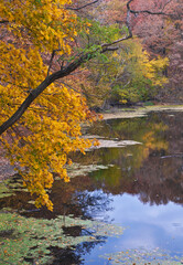 532-69 Matthiessen Lake Autumn