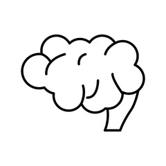 brain human organ style line icon
