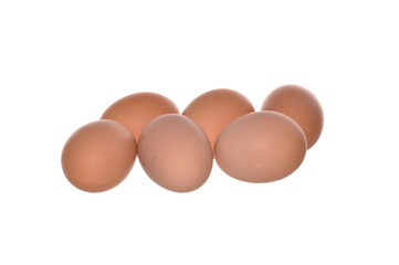 chicken egg isolated on white background