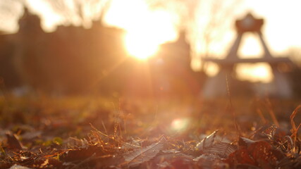 冬の夕方の公園