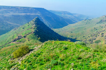 Fototapeta na wymiar Gamla fortress and nearby landscape. The Golan Heights