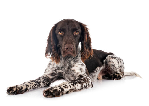 360_F_401129117_nN7fdIxetoGPRu3kLttm1XJl