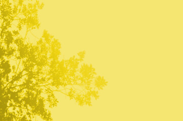 Obraz premium Summer Background Of Shadows Branch Leaves On a Wall. Illuminating Pantone Color Of The Year 2021