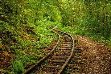 Obraz premium Abandoned railway in autumn mountain forest with foliar trees in Caucasus, Mezmay