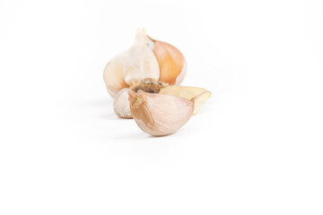 On white background. Head of garlic with cloves next to it. Close-up. No isolation.