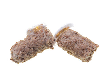 caterpillar eating cereal bran on white background