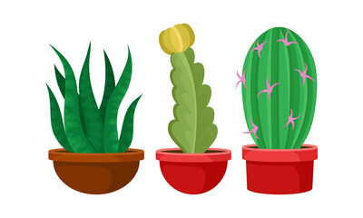 Green Cactus and Succulent Plant Growing in Flowerpots Vector Set