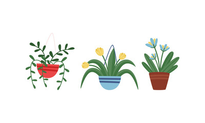Plants and Flowers Rested in Ceramic Pot Vector Set