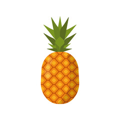 pineapple tropical fresh fruit icon
