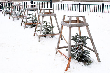 Small fir trees surrounded by a wooden fence
