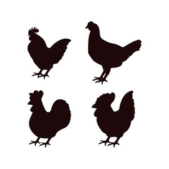 Chicken icon design template vector isolated illustration