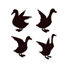 Duck icon design template vector isolated illustration