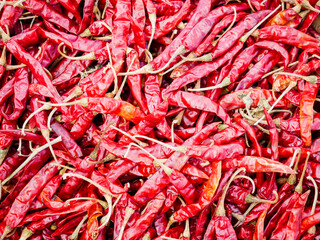 Fototapeta premium Close up of sun dry chili