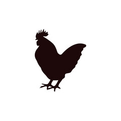 Chicken icon design template vector isolated illustration