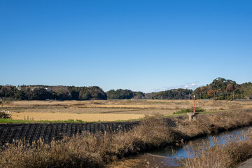 田園風景