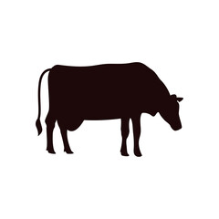 Cow icon design template vector isolated illustration
