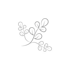 Fototapeta na wymiar Moringa leaf Logo Template vector